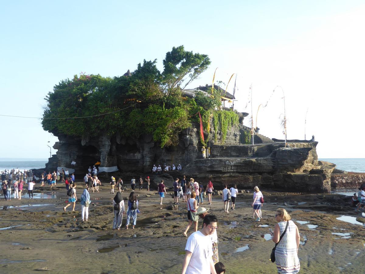 Canggu Surf Hostel 외부 사진